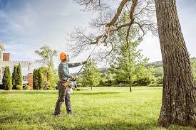 How Our Tree Care Process Works  in Atmore, AL